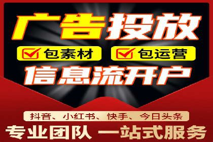 网络营销新篇章：竞价推广案例分析